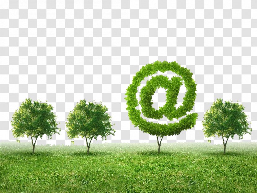 Digital Marketing Opt-in Email Electronic Mailing List Customer - Sign Shaped Trees Transparent PNG