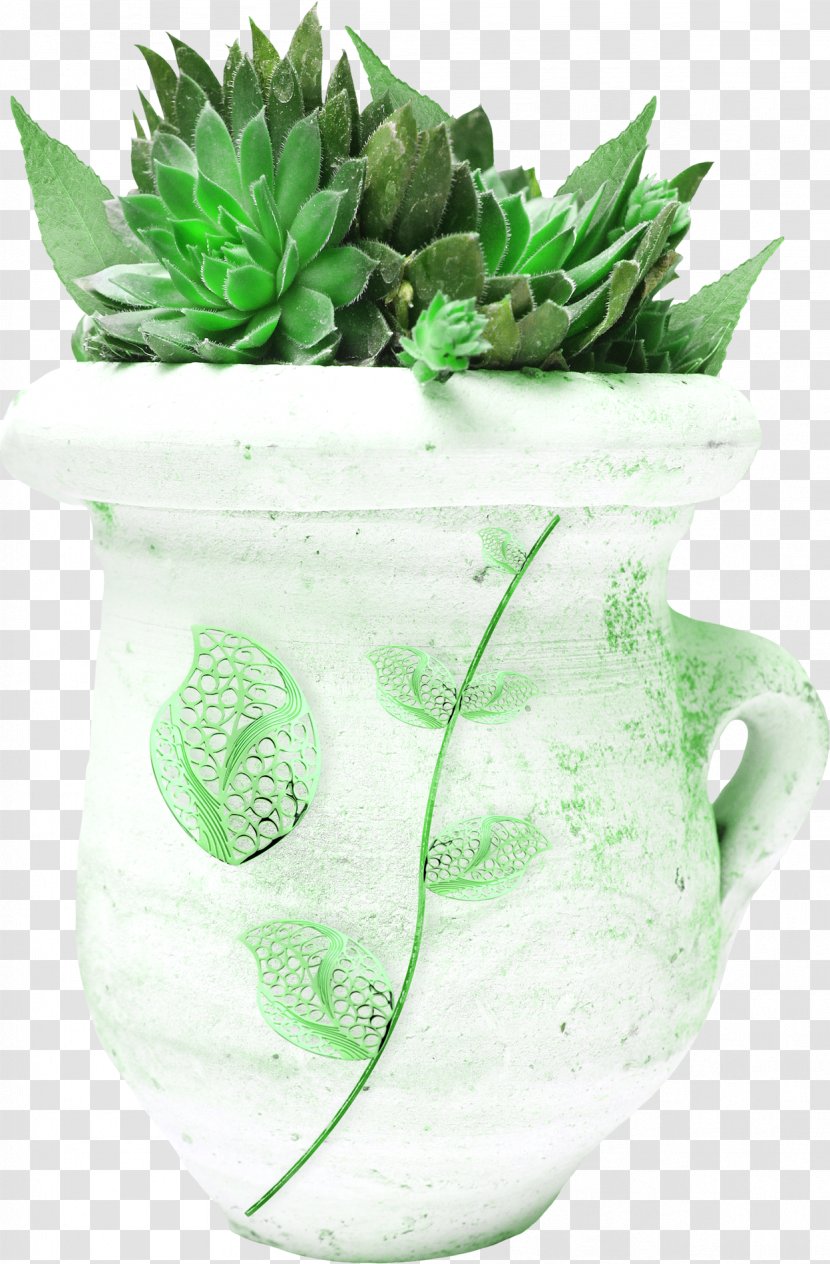 Succulent Plant Leaf Cactaceae - Bottle - Bottling Plants Transparent PNG