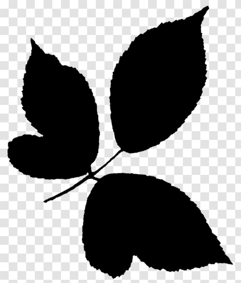 Clip Art Flowering Plant Silhouette Leaf - Blackandwhite Transparent PNG