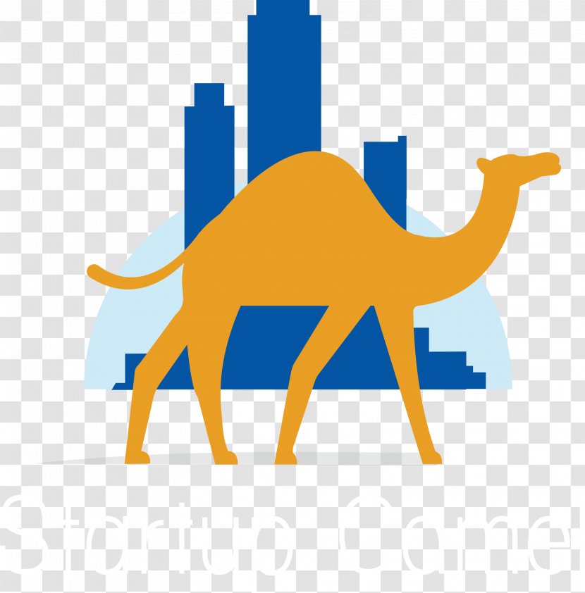 Dromedary Bactrian Camel Startup Company Start-up Nation Silicon Valley - Finnish Scene - Camels Transparent PNG