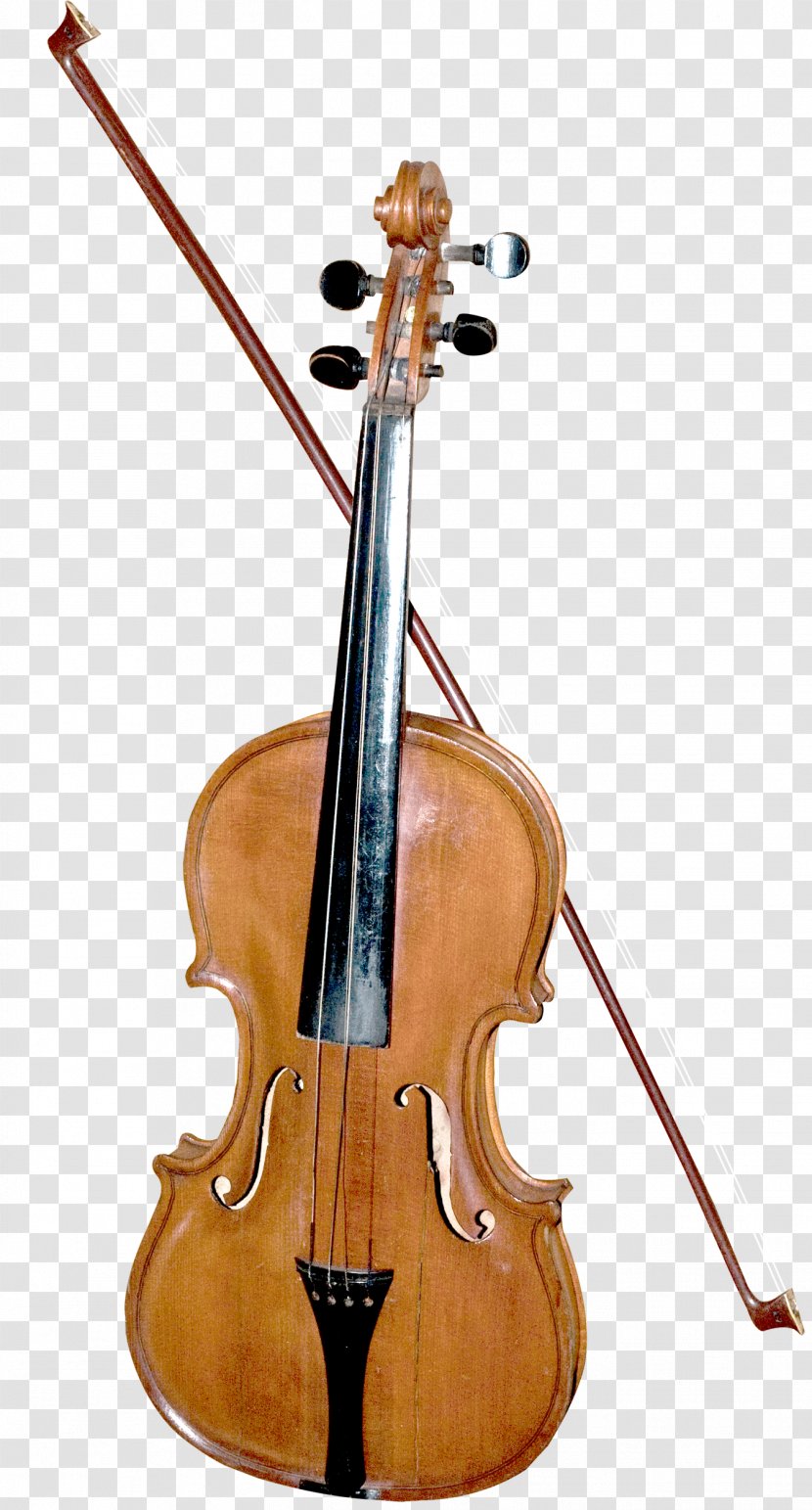 Bass Violin Double Violone Viola - Cartoon - Beautiful Transparent PNG