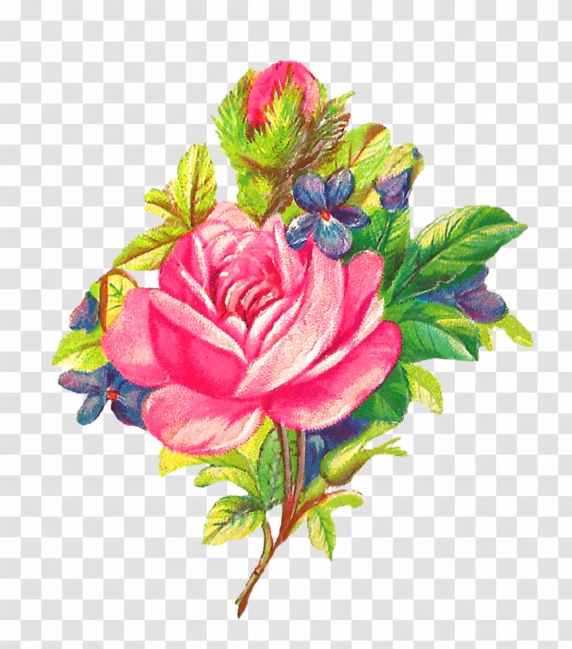 Flower Garden Roses Pink Clip Art - Magenta - Watercolor Flowers Transparent PNG
