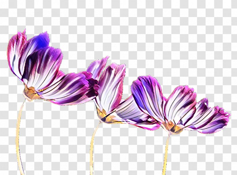 Purple Flowering Plant Plants - Violet - Blue Flower Transparent Background Transparent PNG