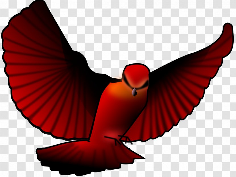 Bird Northern Cardinal Clip Art - Beak - Flying Transparent PNG