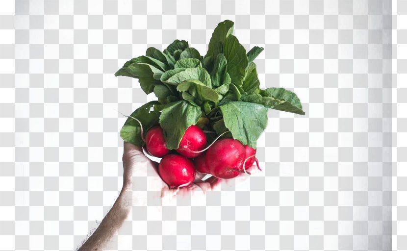 Tea Sandwich Radish Auglis Fruit Food - Veganism - Cherry Transparent PNG