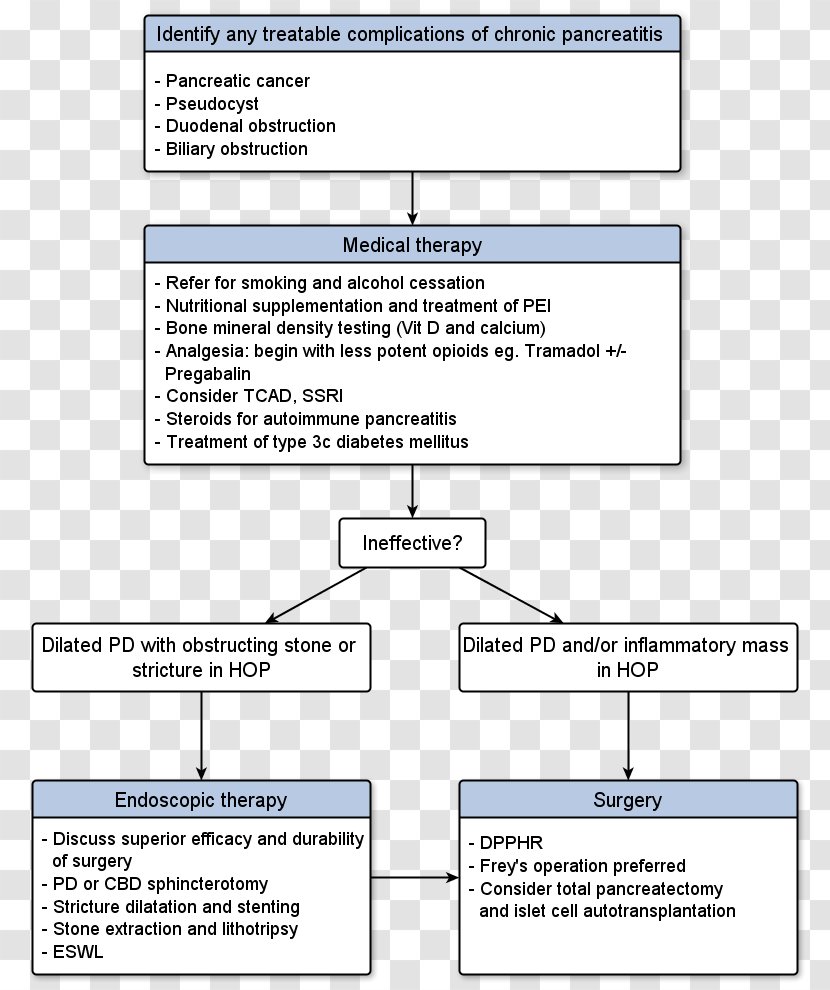 Chronic Pancreatitis Pancreas Divisum Pancrelipase Pancreatic Cancer - Text - Cp System Transparent PNG