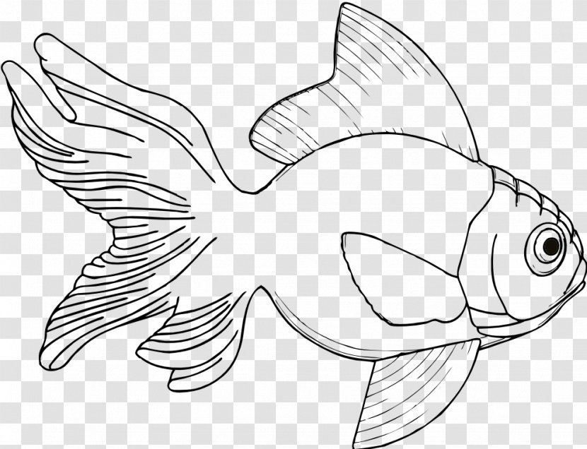 Drawing Fish Coloring Book Clip Art - Ikan Koi Transparent PNG