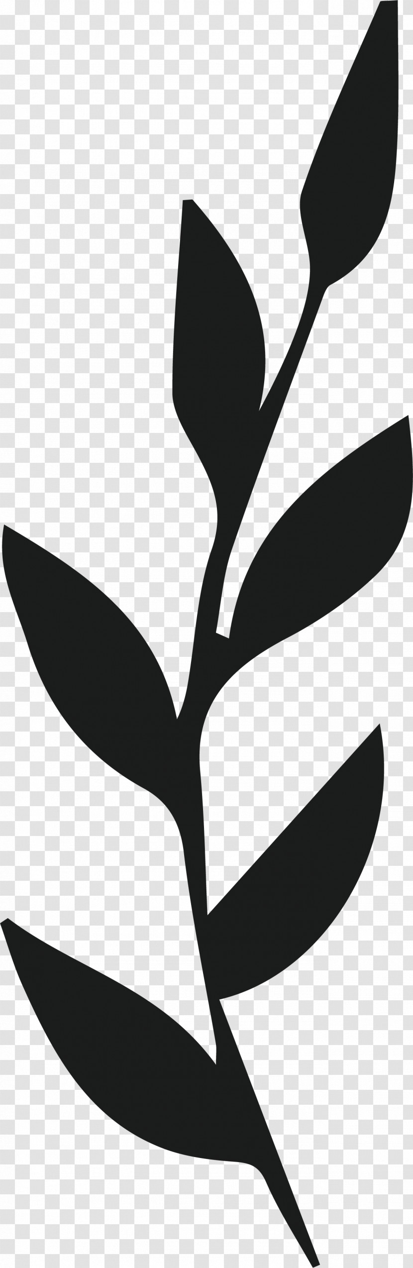 Plant Stem Petal Leaf Line Flower Transparent PNG