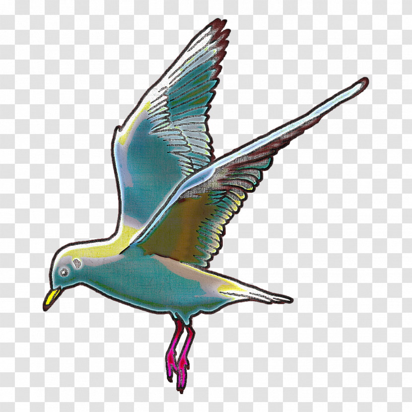 Beak Birds Line Art European Herring Gull Drawing Transparent PNG