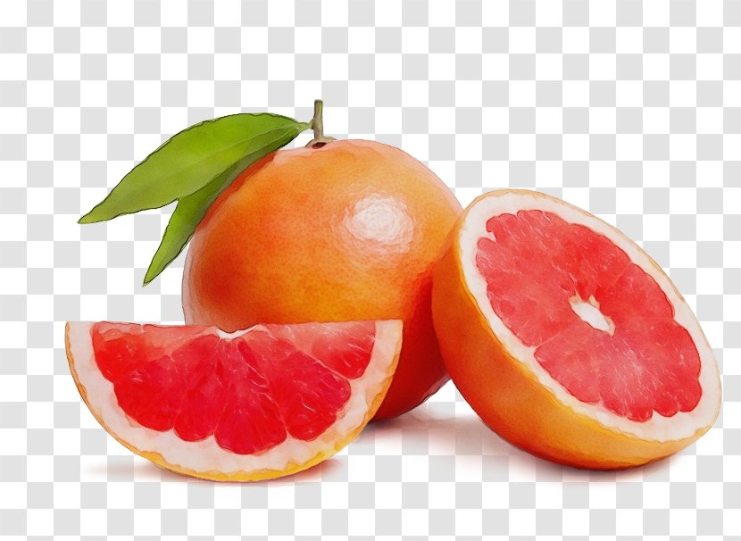 Citrus Fruit Grapefruit Food Natural Foods - Clementine - Citric Acid Plant Transparent PNG