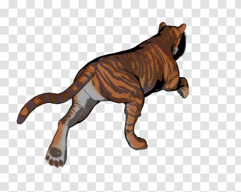Tiger Lion Cat Terrestrial Animal Fauna - Like Mammal Transparent PNG