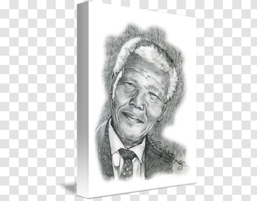 Figure Drawing Art Portrait Sketch - Nelson Mandela Transparent PNG