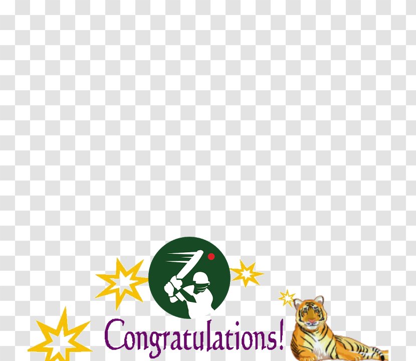 United States Star Clip Art - Area - Congratulations Transparent PNG