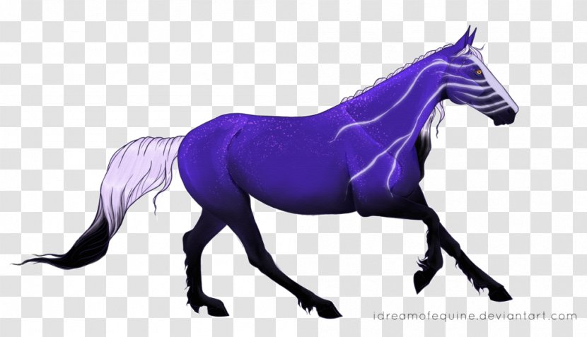 Mustang Stallion Mare Halter Pack Animal - Purple Transparent PNG