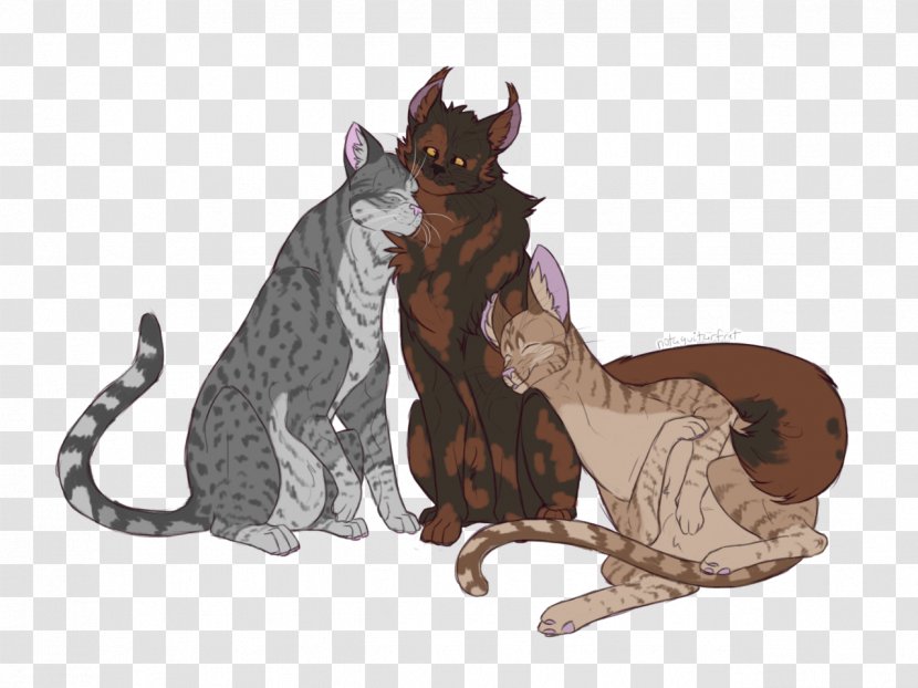 Cat Brindleface Runningwind Warriors ThunderClan - Squirrelflight Transparent PNG