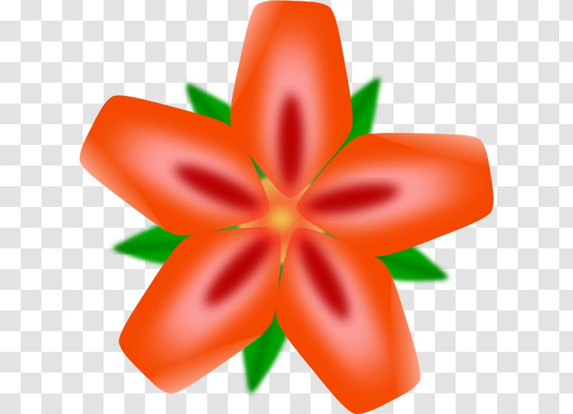 Hawaiian Flower Clip Art - Petal - Hawaiin Pictures Transparent PNG