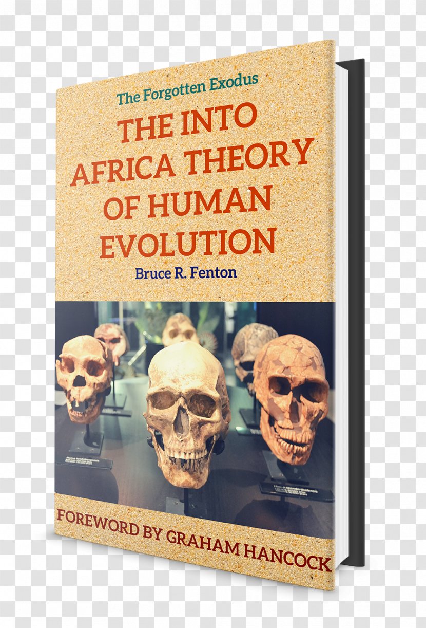 Recent African Origin Of Modern Humans Neanderthal Early Human Migrations Anatomically - Continent - Africa Transparent PNG