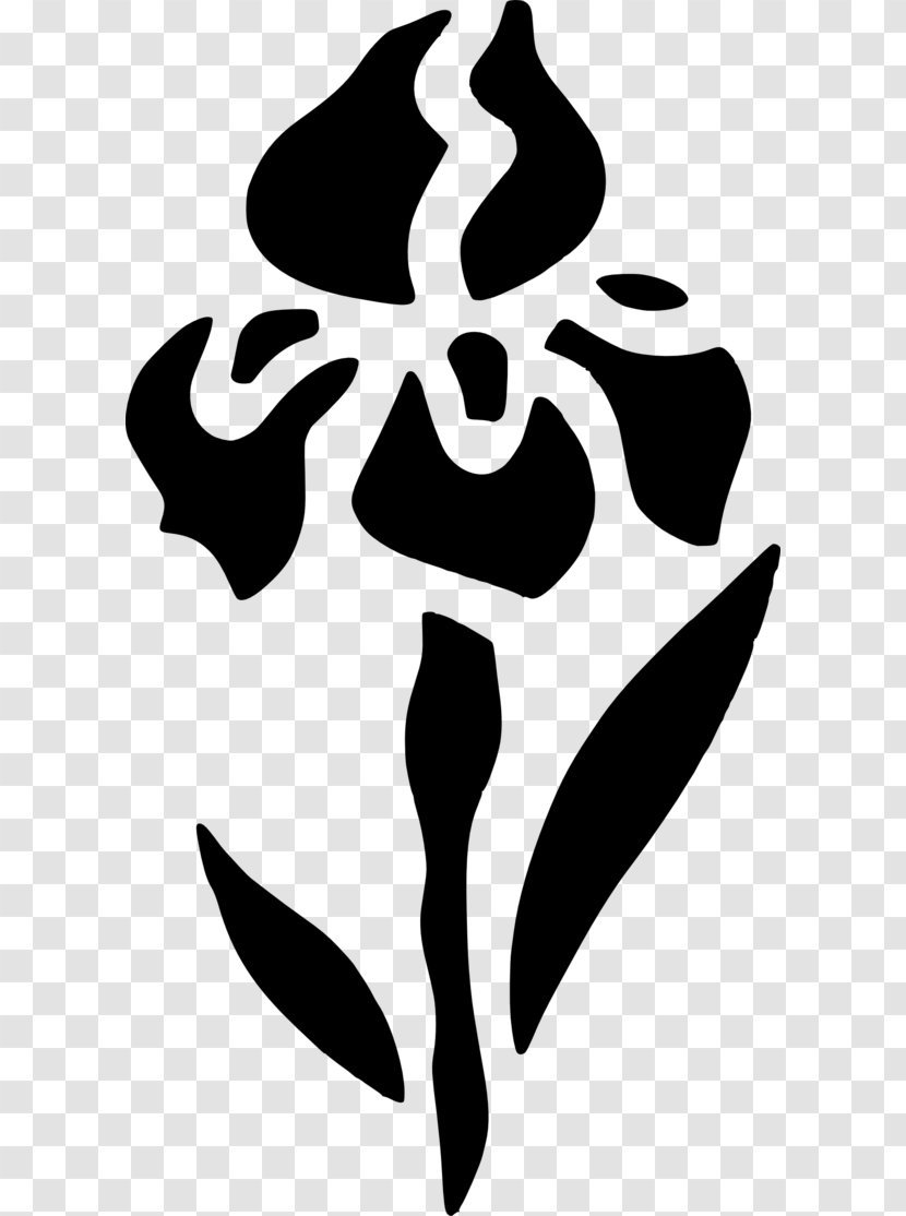 Flower Stencil - Drawing - Symbol Automotive Decal Transparent PNG