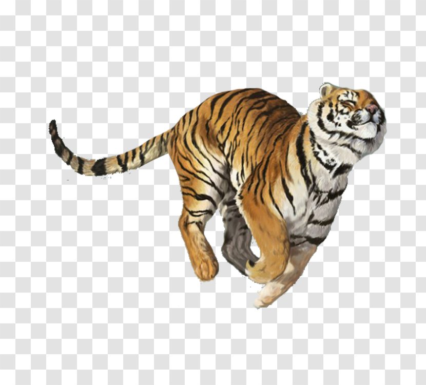 Tiger Balm Nuchal Rigidity - Creative Transparent PNG