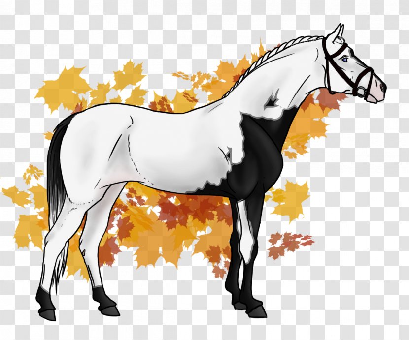 Mustang Mare Foal Stallion Halter - Horse Transparent PNG