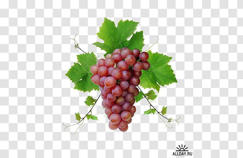 Common Grape Vine Wine Food Fruit - Strawberry Transparent PNG