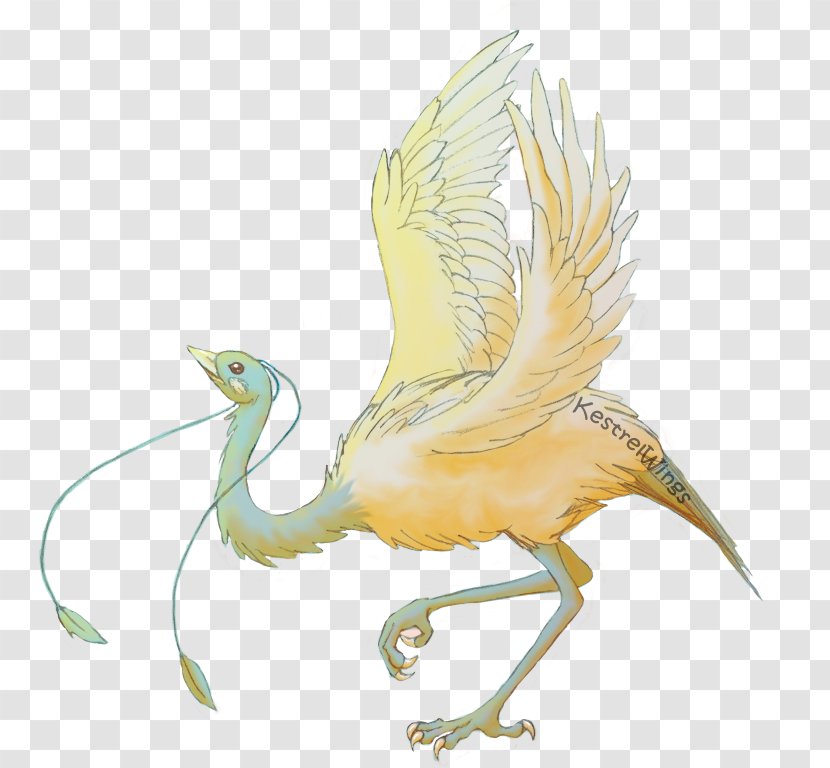 Beak Fan Art Bird Drawing DeviantArt - Wildlife - Wing Transparent PNG