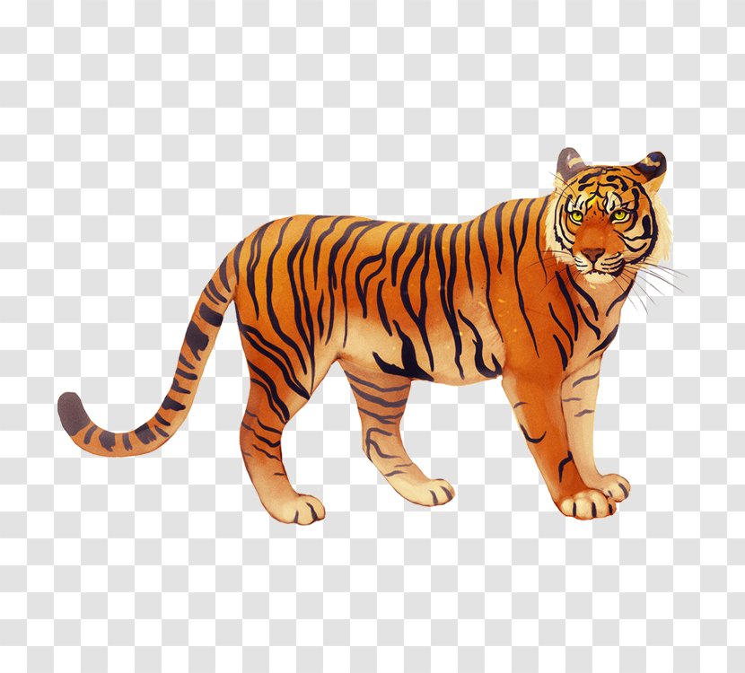 Javan Tiger Bali I Ching Lion - Creative Transparent PNG