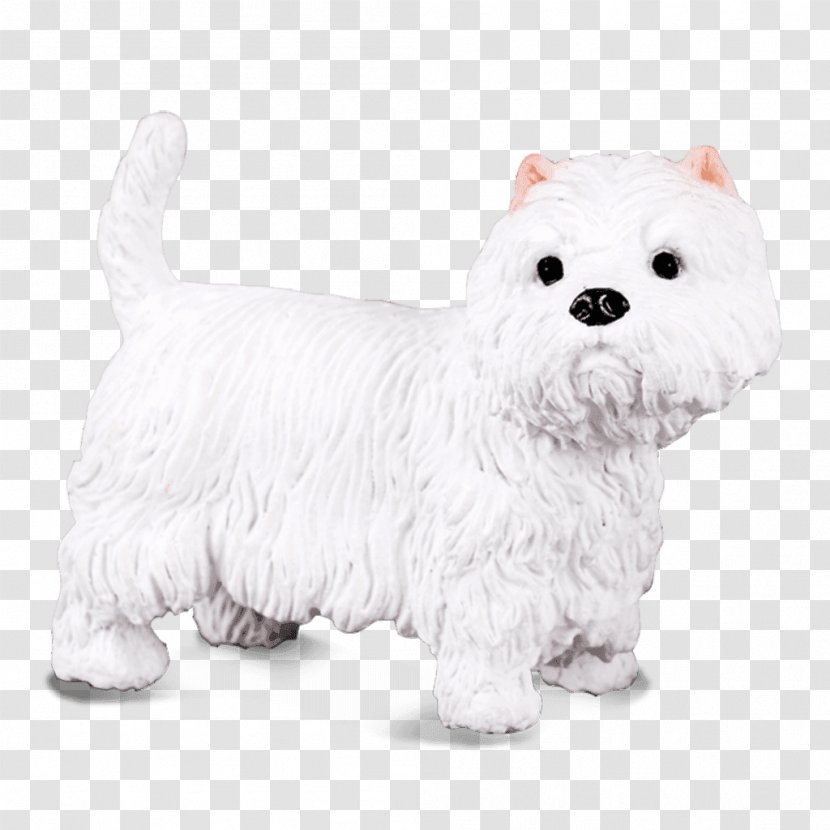 West Highland White Terrier Maltese Dog Yorkshire English Scottish - Companion - Puppy Transparent PNG
