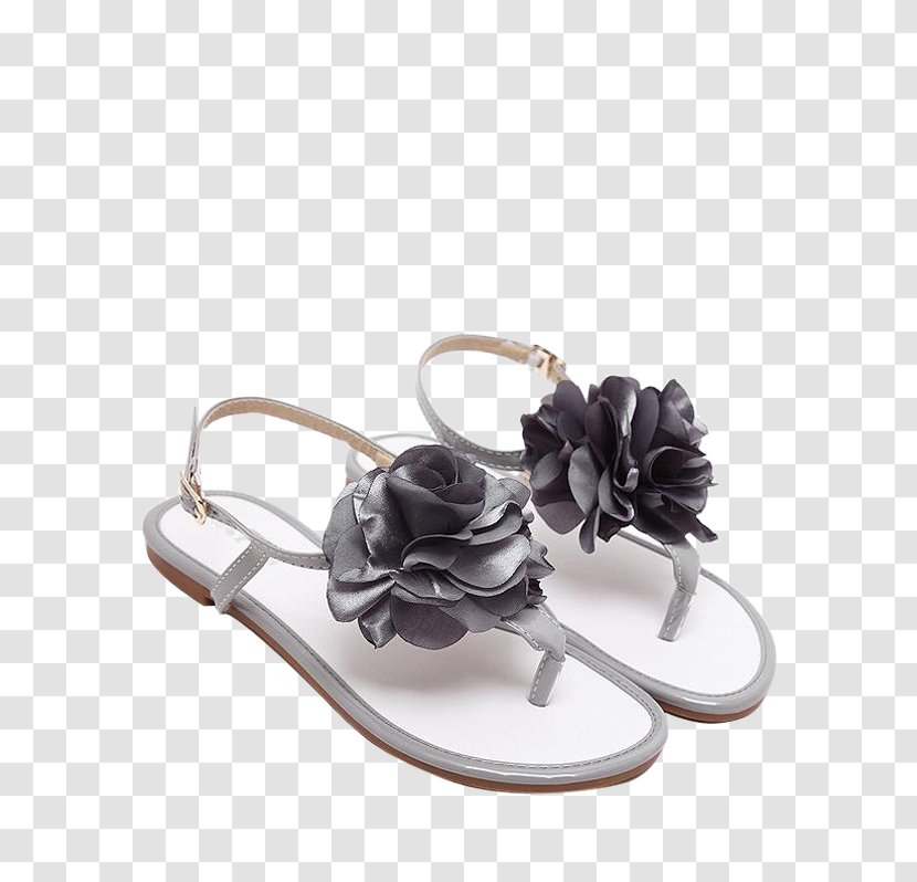 Polyvore United States Of America SSENSE Fashion Flip-flops - Flip Flops - Floral Flat Shoes For Women DSW Transparent PNG
