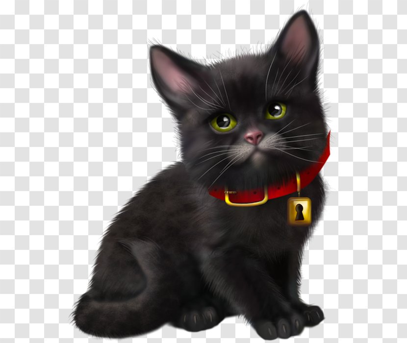 Black Cat Kitten Bombay American Wirehair Korat - Pet Transparent PNG