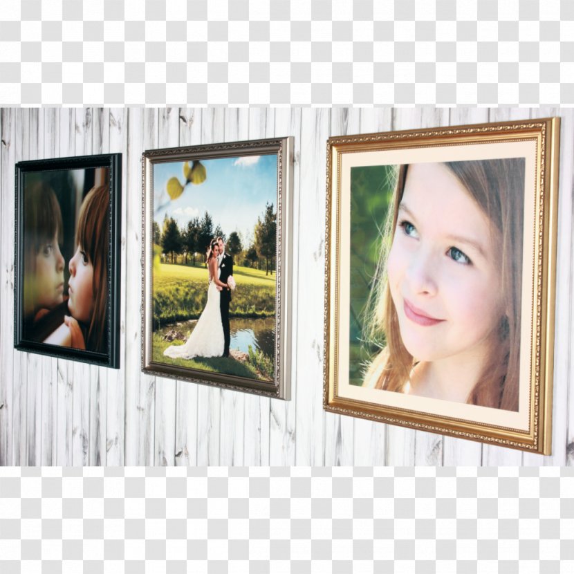 Printing Photographic Paper Window - Your Perfect Canvas - Hanging Polaroid Transparent PNG