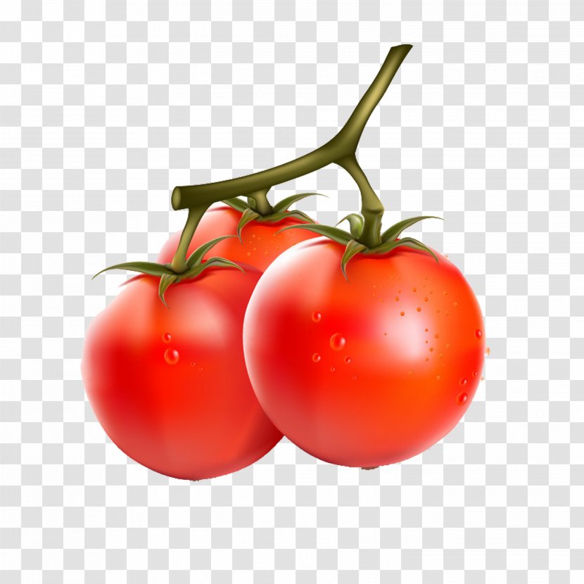 Cherry Tomato Vegetable Fruit Eggplant - Food Transparent PNG