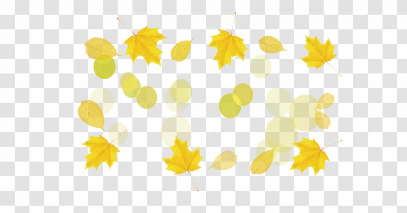 Petal Autumn Pattern - Leaves Transparent PNG
