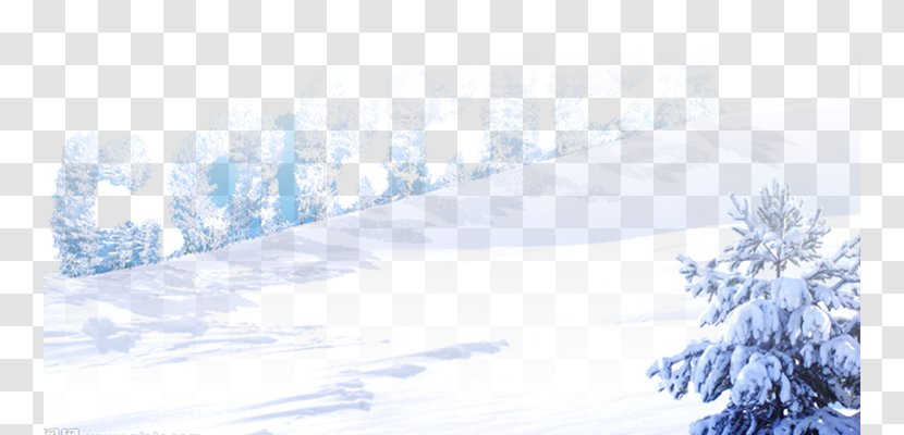 Christmas Snowflake Wallpaper - Snow - Creative Transparent PNG
