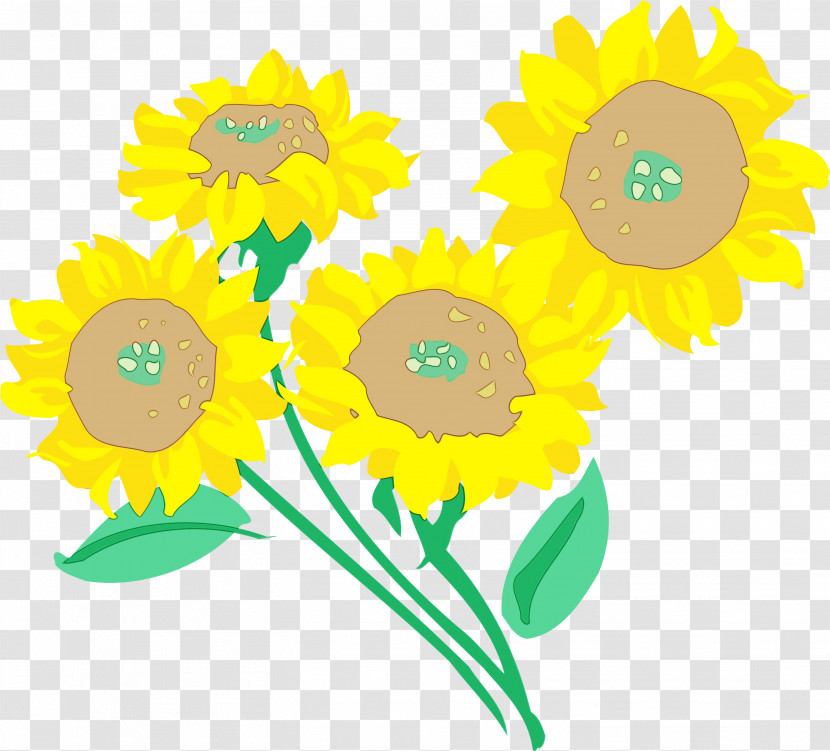 Sunflower Transparent PNG