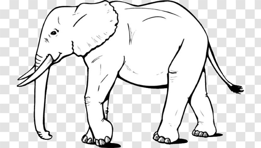 Asian Elephant Coloring Book Elephants World Day Adult Transparent PNG