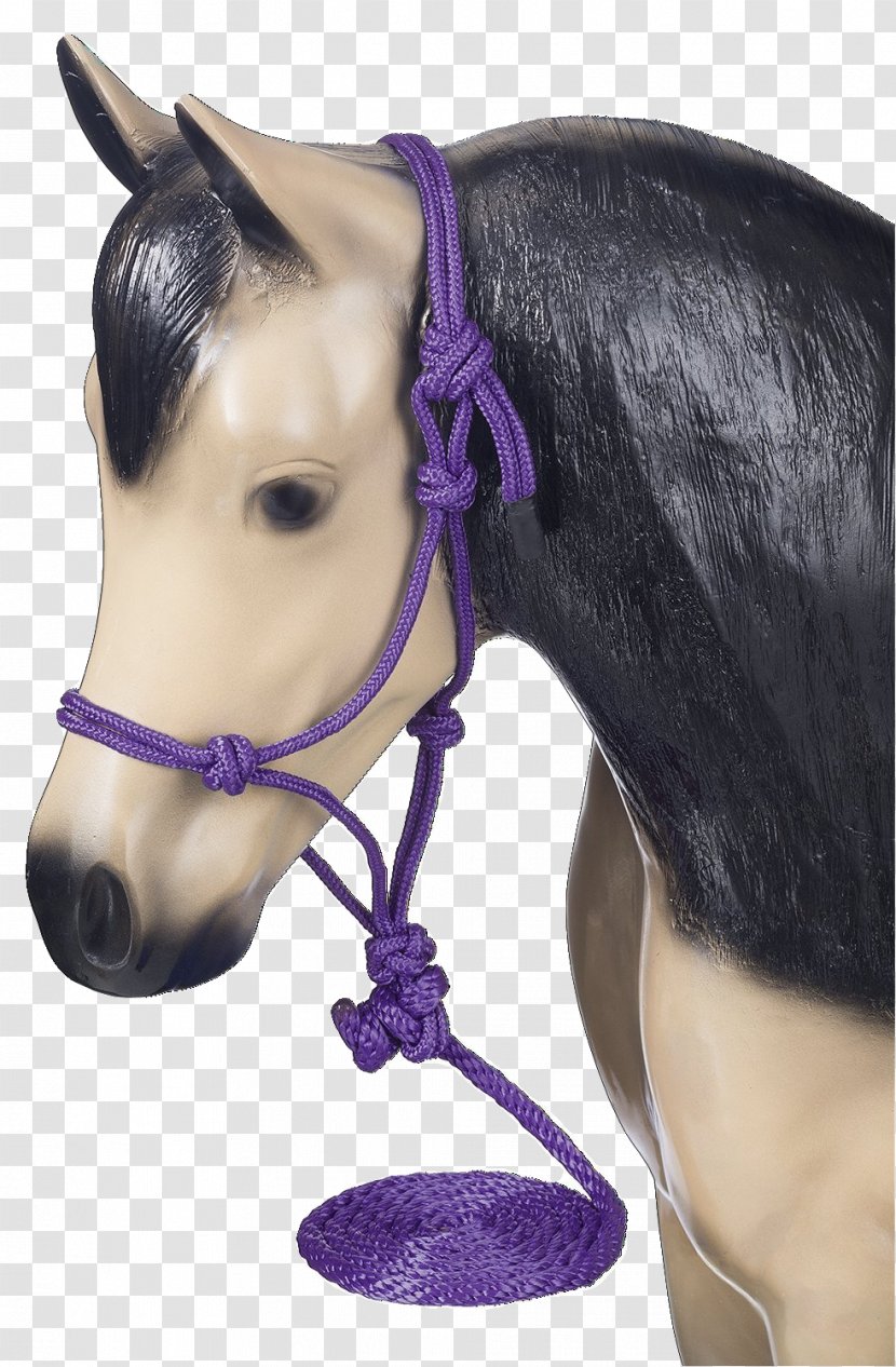 Halter American Miniature Horse Pony Bridle Lead - Rope Transparent PNG