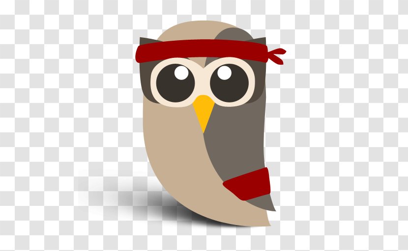 Social Media Hootsuite Networking Service Foursquare - Bird Of Prey Transparent PNG