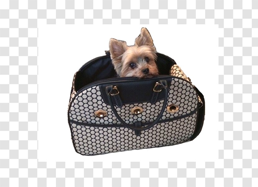 Bag Dog Breed Yorkshire Terrier Leather Leash - Pet Carrier Transparent PNG