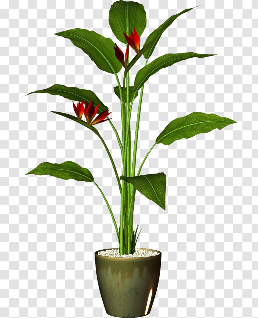 Flowerpot Houseplant Garden Clip Art - Vase - Plant Transparent PNG