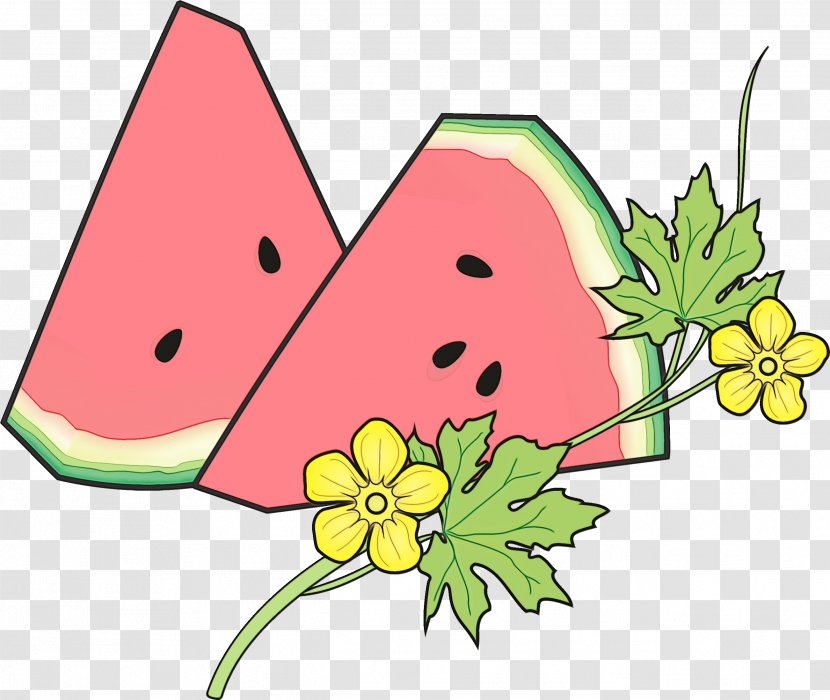 Watermelon - Fruit Leaf Transparent PNG