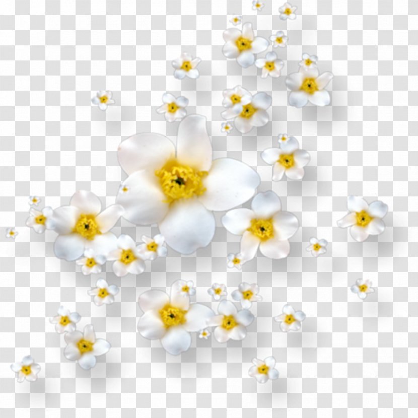 Flower Image Clip Art - Flowering Plant Transparent PNG