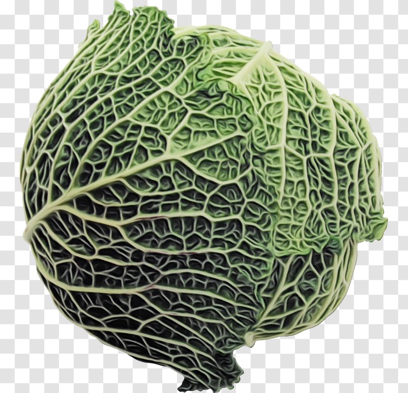 Vegetables Cartoon - Wild Cabbage - Leaf Vegetable Food Transparent PNG