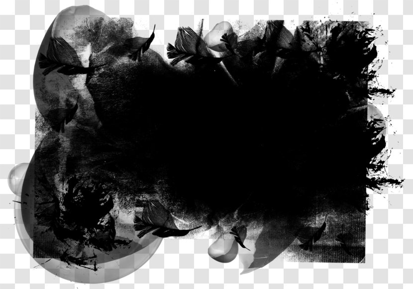 Download - Fur - Monochrome Photography Transparent PNG