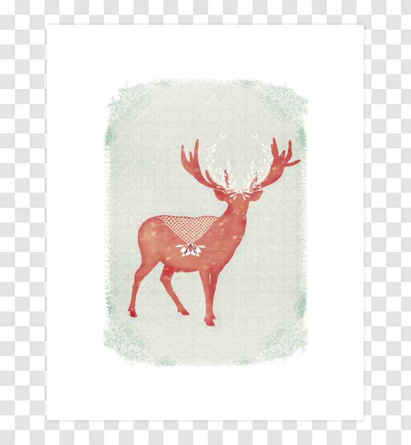 Reindeer Elk - Antler Transparent PNG