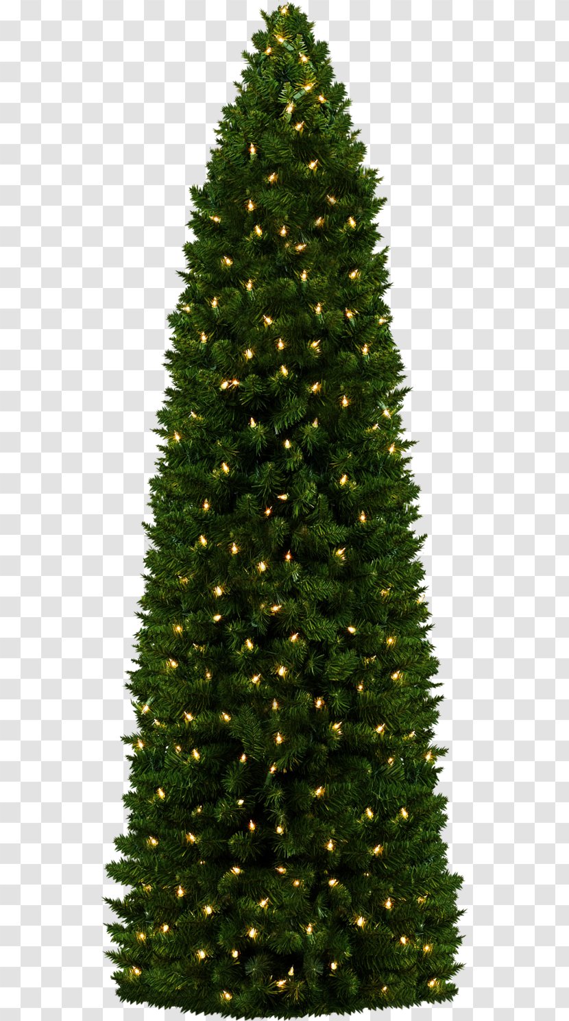 Christmas Tree - Decor Transparent PNG