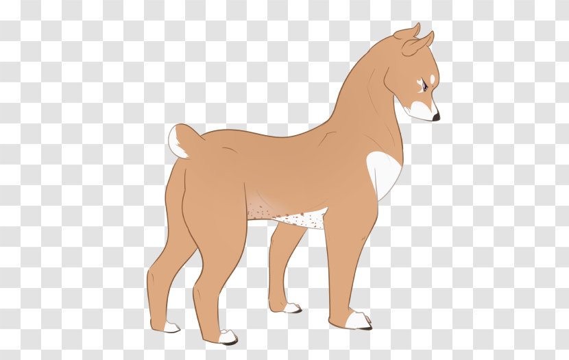 Dog Mustang Foal Stallion Colt - Pack Animal Transparent PNG