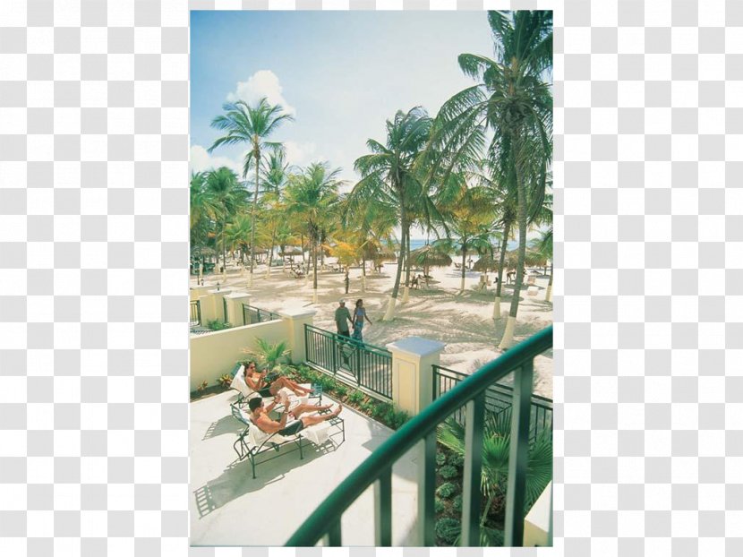 Arecaceae Vacation Resort Property Tourism Transparent PNG