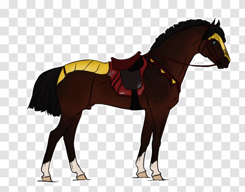 Foal Stallion Mane Pony Mustang - Horse Supplies Transparent PNG