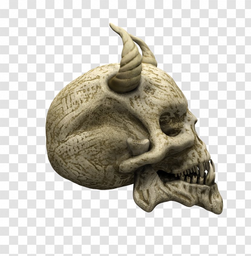 Skull Human Skeleton Bone Face - Horror Transparent PNG